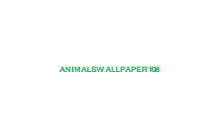 animals wallpaper. Animals Wallpaper 108